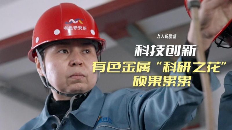 代理加盟企业应具备较强的技术实力，能够提供稳定的标识解析服务。这包括：